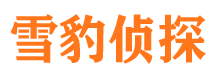 建邺市侦探公司